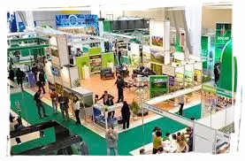 SƏRGİLƏRİN TƏŞKİLİ