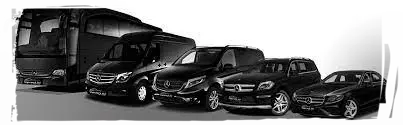 TRANSFERLƏRİN TƏŞKİLİ